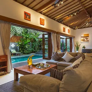  Villa Green Mango